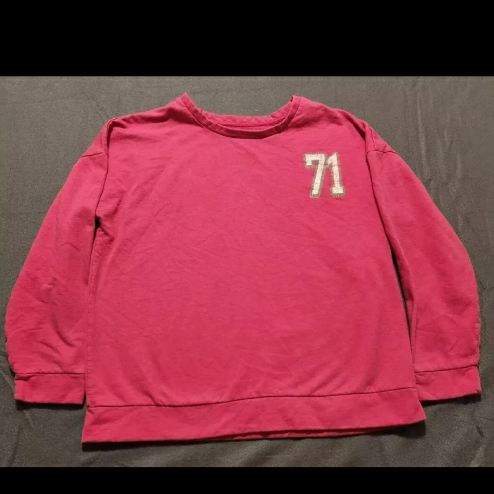 Disney Parks Sweatshirt Size Large Pink